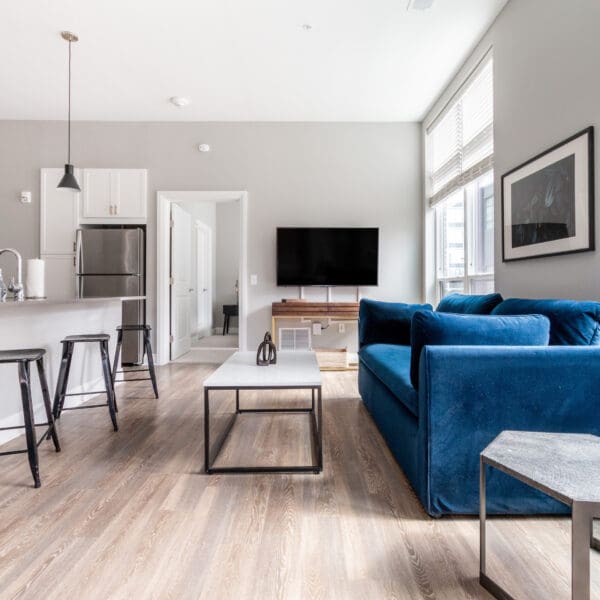 Living Room and Kitchen