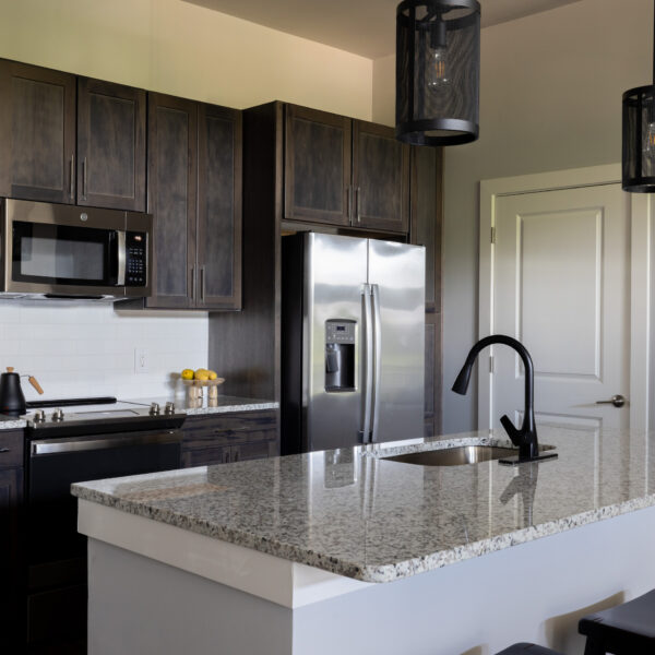 Mint House Greenville in West End, SC Apartment Hotel