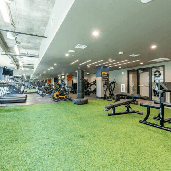 View Fitness Center1